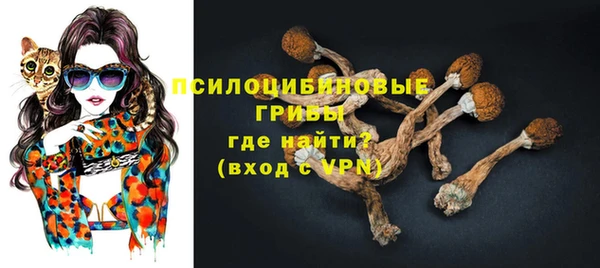 прущая мука Медвежьегорск