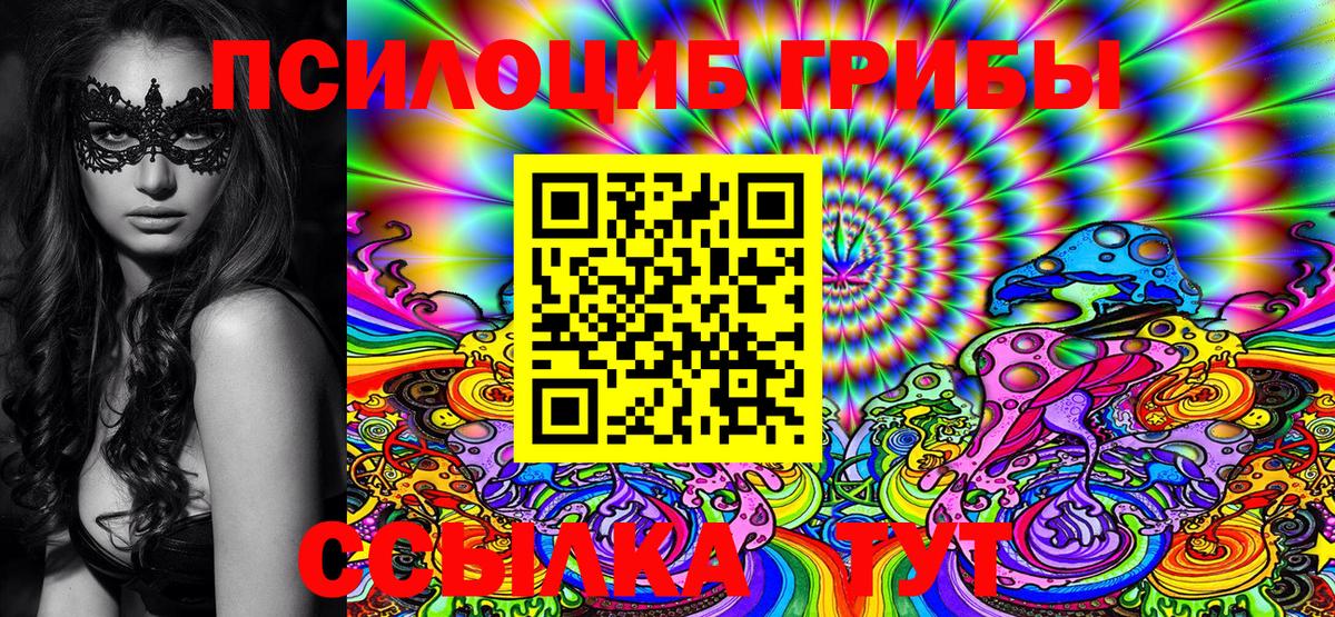 Галлюциногенные грибы Psilocybe Ачинск
