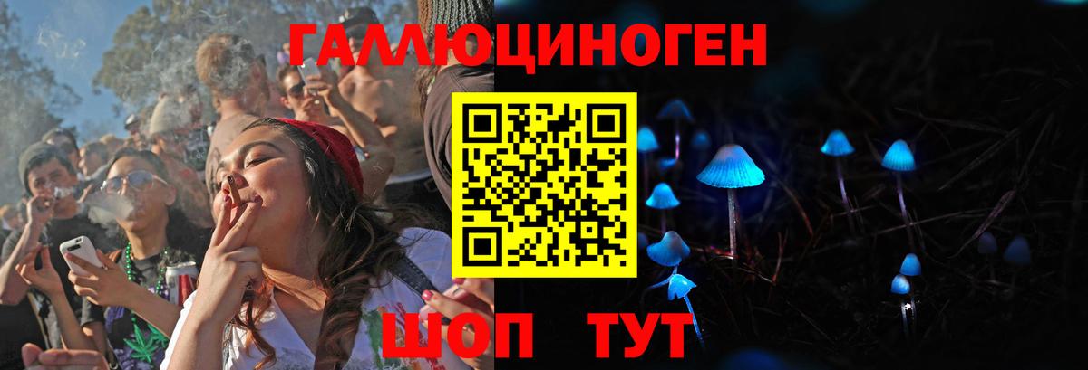 Псилоцибиновые грибы Cubensis Ачинск