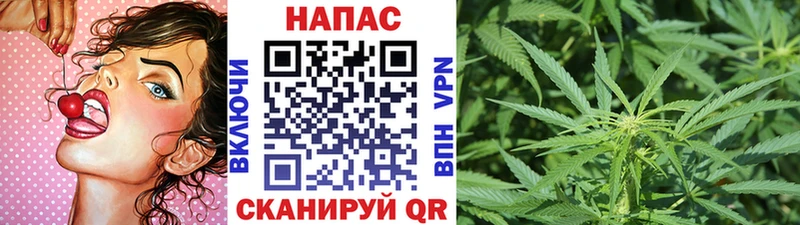 Марихуана White Widow дарк нет официальный сайт Ачинск хочу